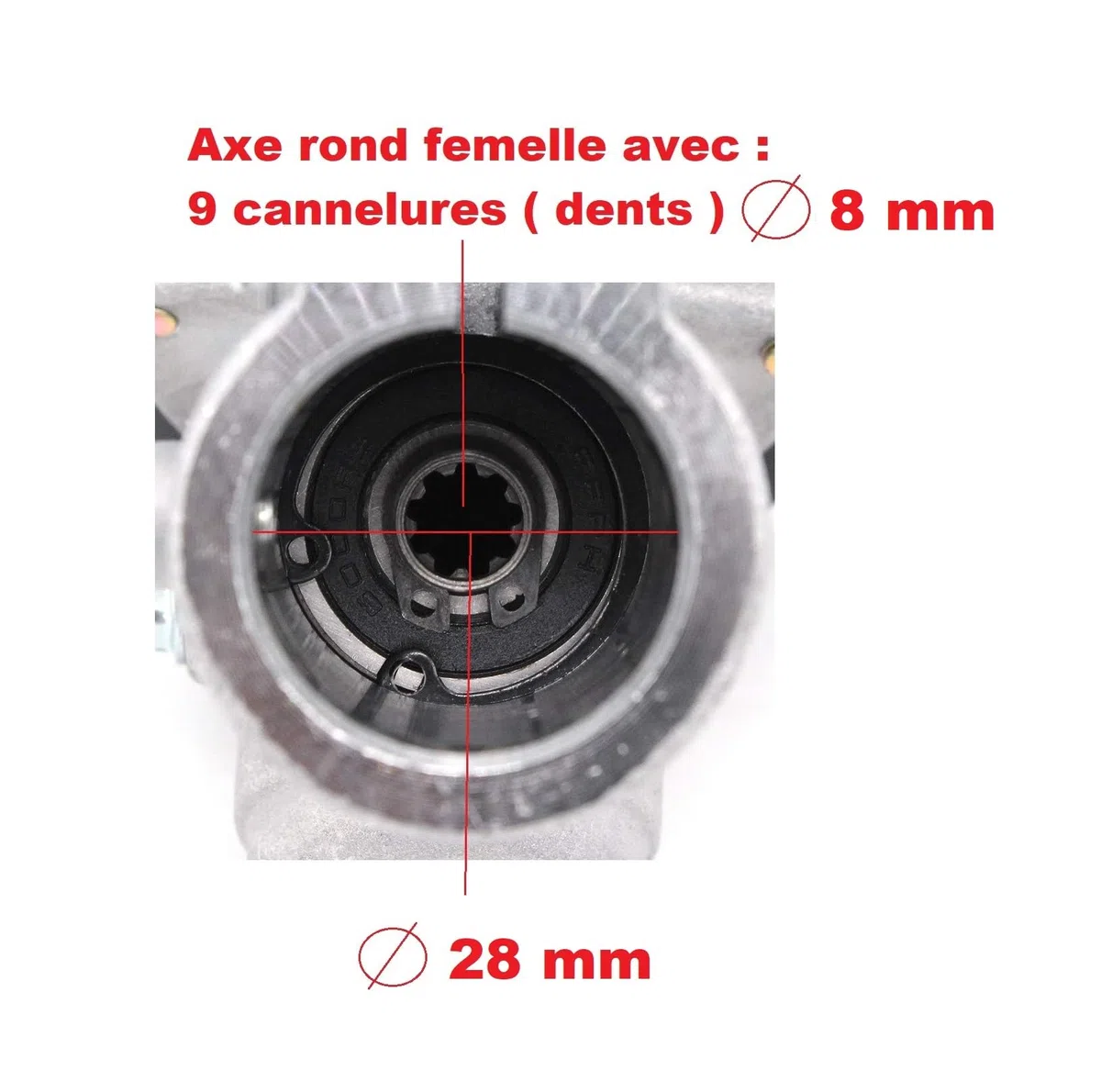 Pieza de repuesto original Fabricante: Reenvío de ángulo/cabeza de transmisión 28 MM 9 dientes para desbrozadora/corte borde Gracias por comprobar su modelo antes de comprar Dimensiones en fotos!