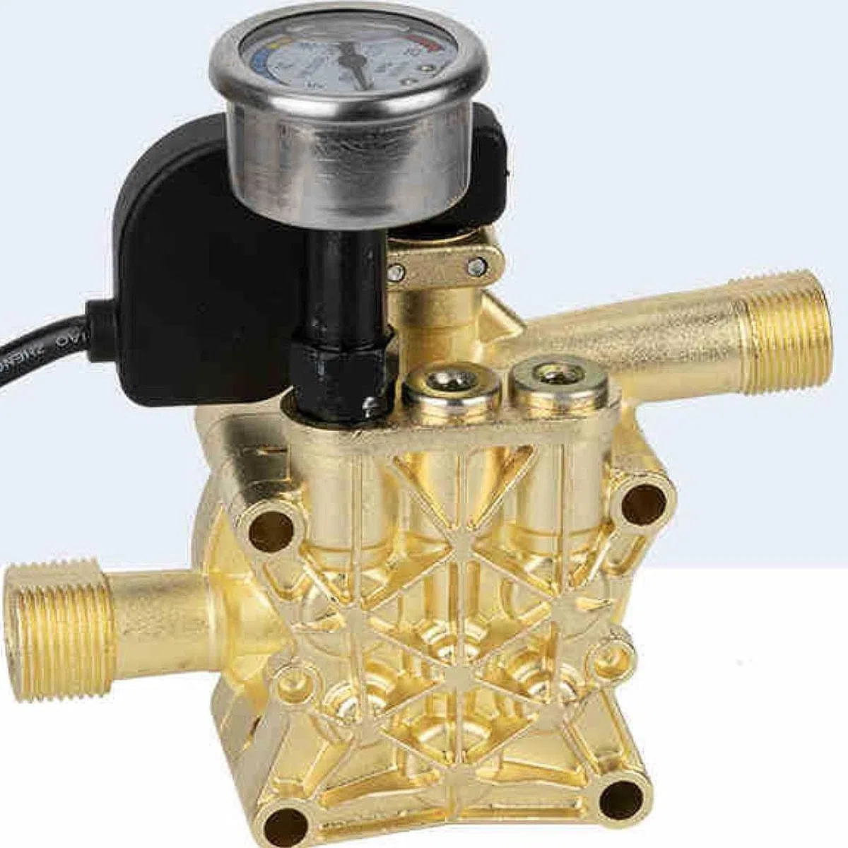 Harilla Conjunto de Cabezal de Bomba de Agua para Hidrolavadora de Alta Presión de 220 V, Accesorio, Cabezal de Bomba para Lavadoras de Autos Domésticas, Piez, Estilo a