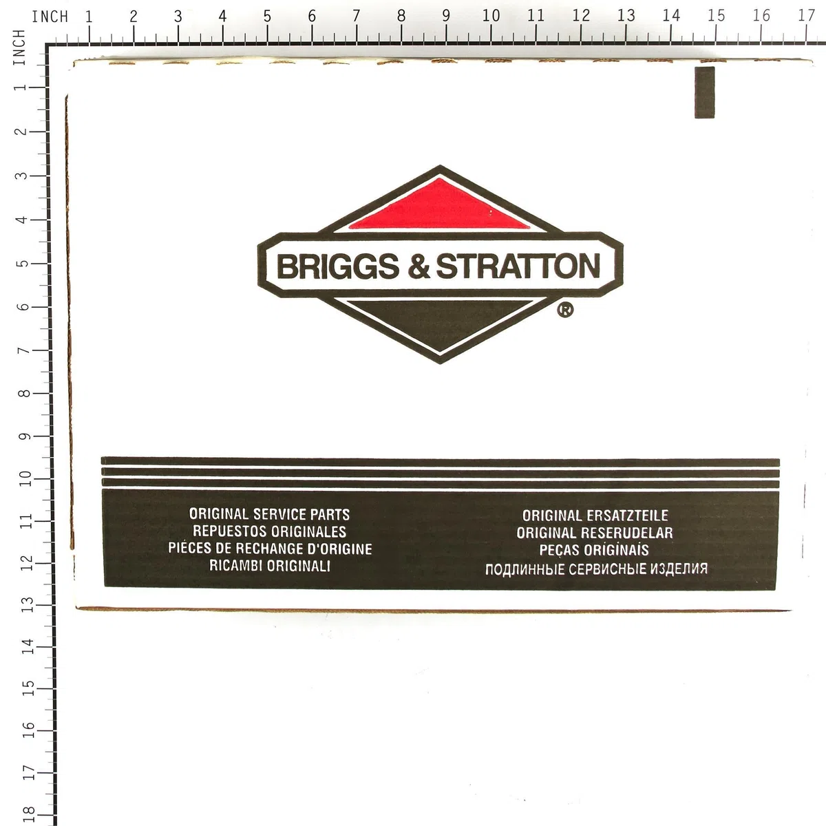 Briggs & Stratton 196006GS - Manguera de Lavado a presión (1/4 Pulgadas x 25 pies)