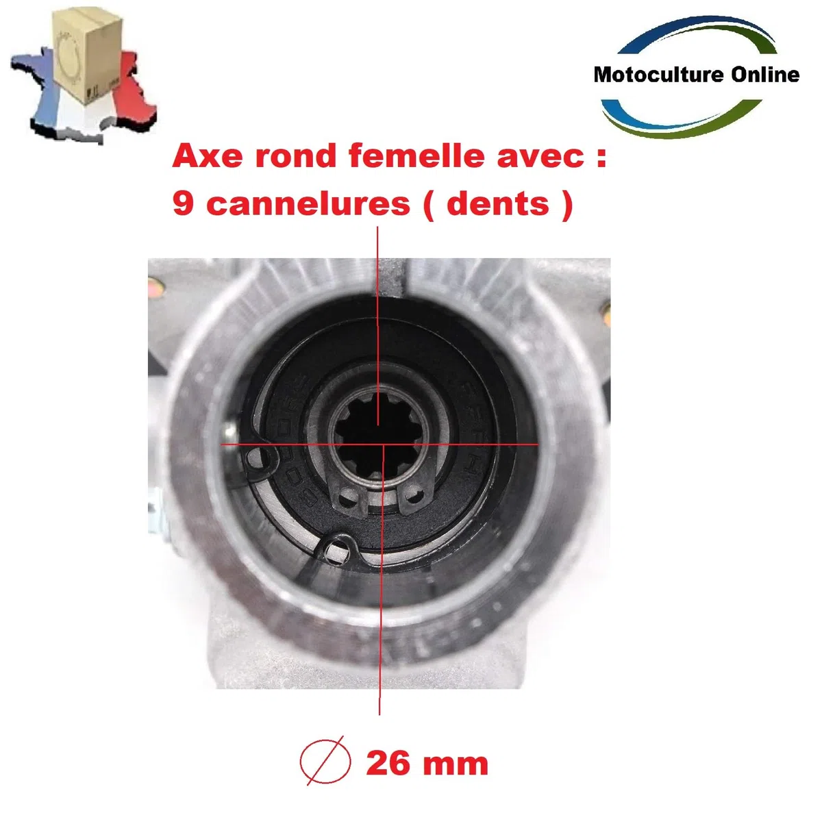Pieza de repuesto original Fabricante: Reenvío de ángulo/cabeza de transmisión 26 mm 9 dientes para desbrozadora/corte borde Gracias por comprobar su modelo antes de comprar: Dimensiones en Fotos!
